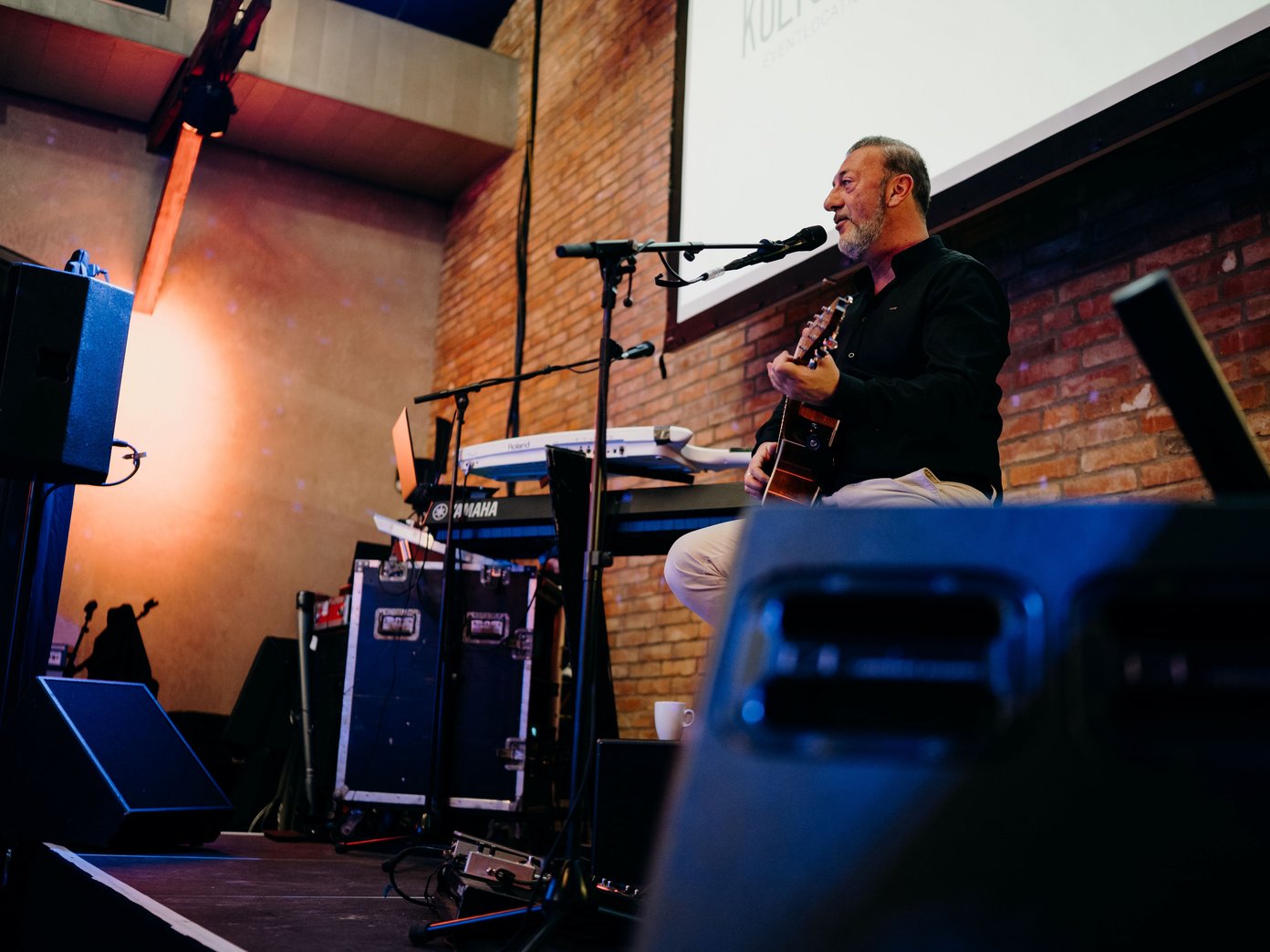 Mann mit Gitarre am Mikrofon auf einer Bühne